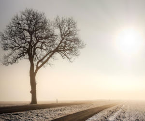 Mgły i  śnieg z deszczem a to nie wszystko. Prognoza na sobotę nie zachwyca [Prognoza IMGW]