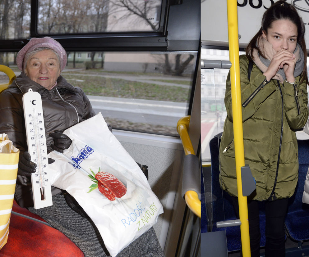 Ziąb w autobusach