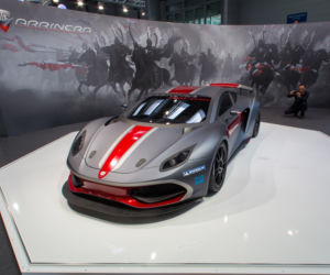 Arrinera Hussarya