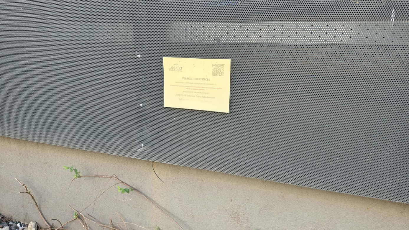 „Obrzydlistwo!” Nagrali to w samym centrum Wrocławia. Mieszkańcy przerażeni tym, co biega po ulicach