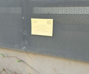 „Obrzydlistwo!” Nagrali to w samym centrum Wrocławia. Mieszkańcy przerażeni tym, co biega po ulicach