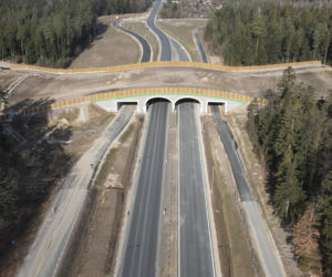 Obwodnica Wąchocka (kwiecień 2026)