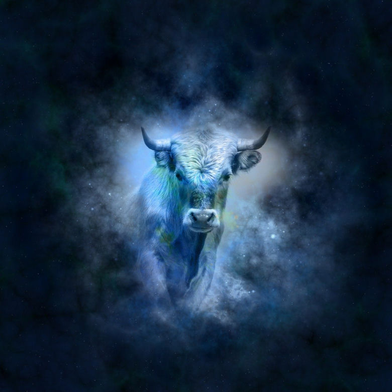 Horoskop 6.12: Byk