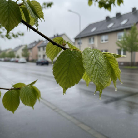 Deszczowa sobota i słoneczna niedziela w Łodzi. Weekend przyniesie zmianę pogody