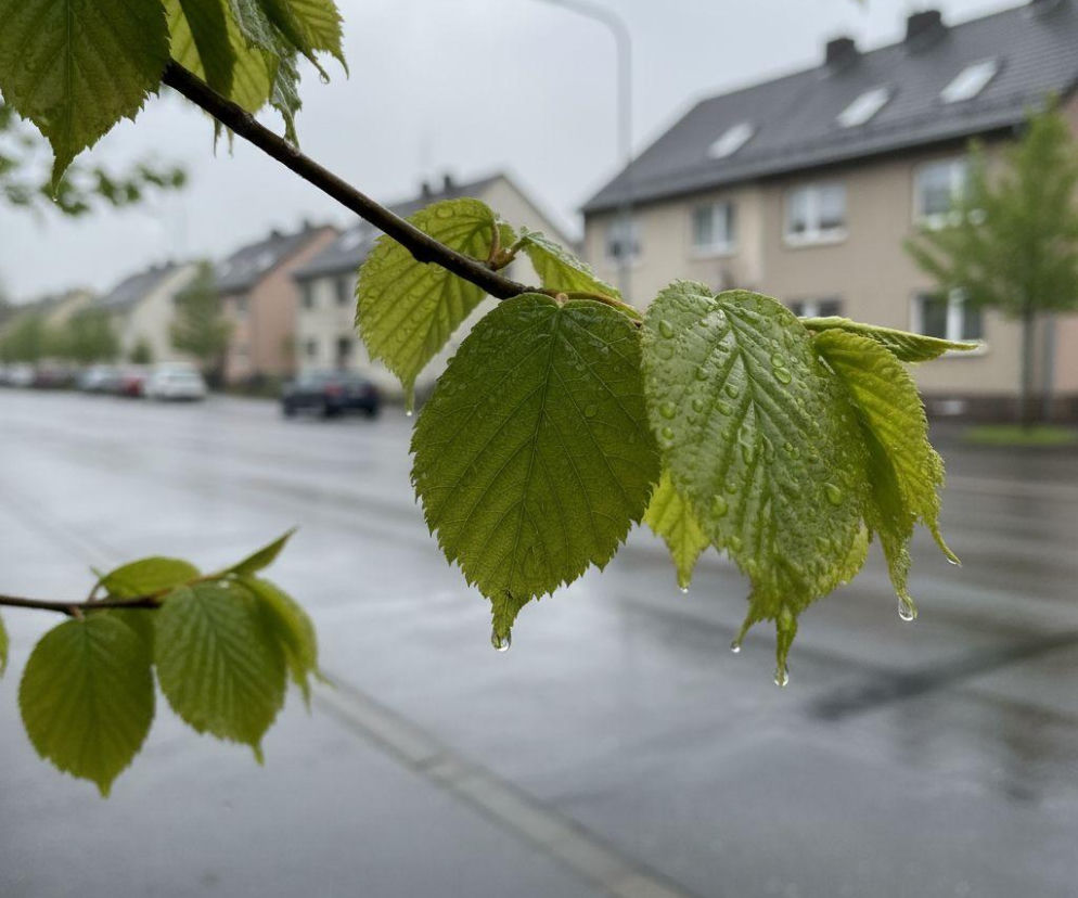 Deszczowa sobota i słoneczna niedziela w Łodzi. Weekend przyniesie zmianę pogody