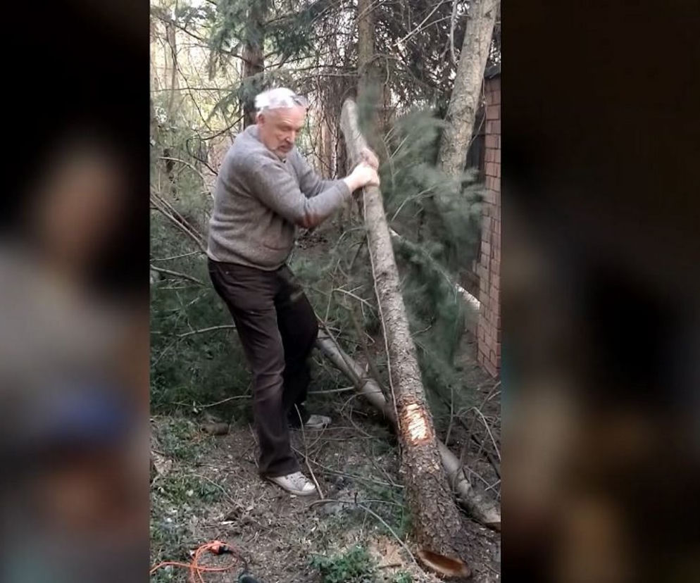 Janusz Korwin-Mikke Politycy od kuchnii