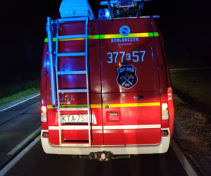 Osobowe Audi potrąciło mężczyznę. Śmiertelny wypadek na DK73 w Brniu