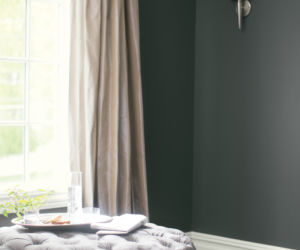 Kolory roku 2019 według firmy Benjamin Moore