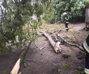 TRĄBA POWIETRZNA powietrzna w Łódzkiem. ZOBACZ Jakie szkody wywołał żywioł? [FOTO, WIDEO]