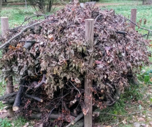 Stosy biocenotyczne w szczecińskich parkach