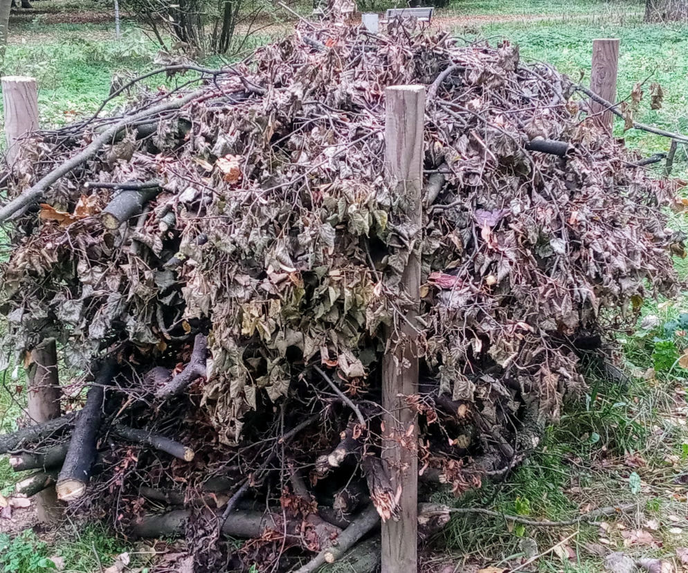 Stosy biocenotyczne w szczecińskich parkach