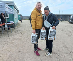 Przybyło psów w schronisku w Henrykowie koło Leszna. Ilość zatrważająca