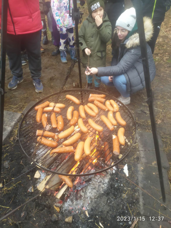 Wielkie liczenie morsów w Morawicy. Do wody weszło około stu osób! 