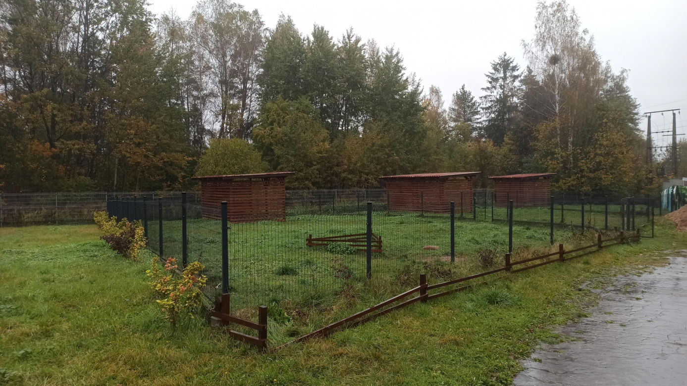 Schronisko dla Zwierząt w Olsztynie