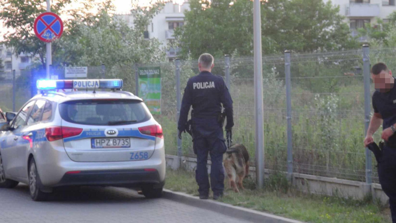 Podźgali nastolatka podczas imprezy. „Dwa razy w plecy”. Prokuratura zdradza kulisy śledztwa