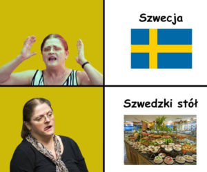Mecz Polska - Szwecja: MEMY PO MECZU. Polska odpada z Euro 2020 [ZDJĘCIA]