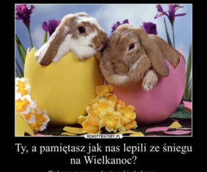 Wielkanoc 2020. Top 10 najlepszych memów na święta wielkanocne!