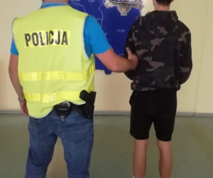 Wtargnęli na murawę po meczu Widzewa ze Zniczem