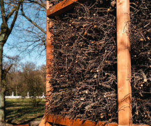 W Siedlcach powstała tężnia solankowa