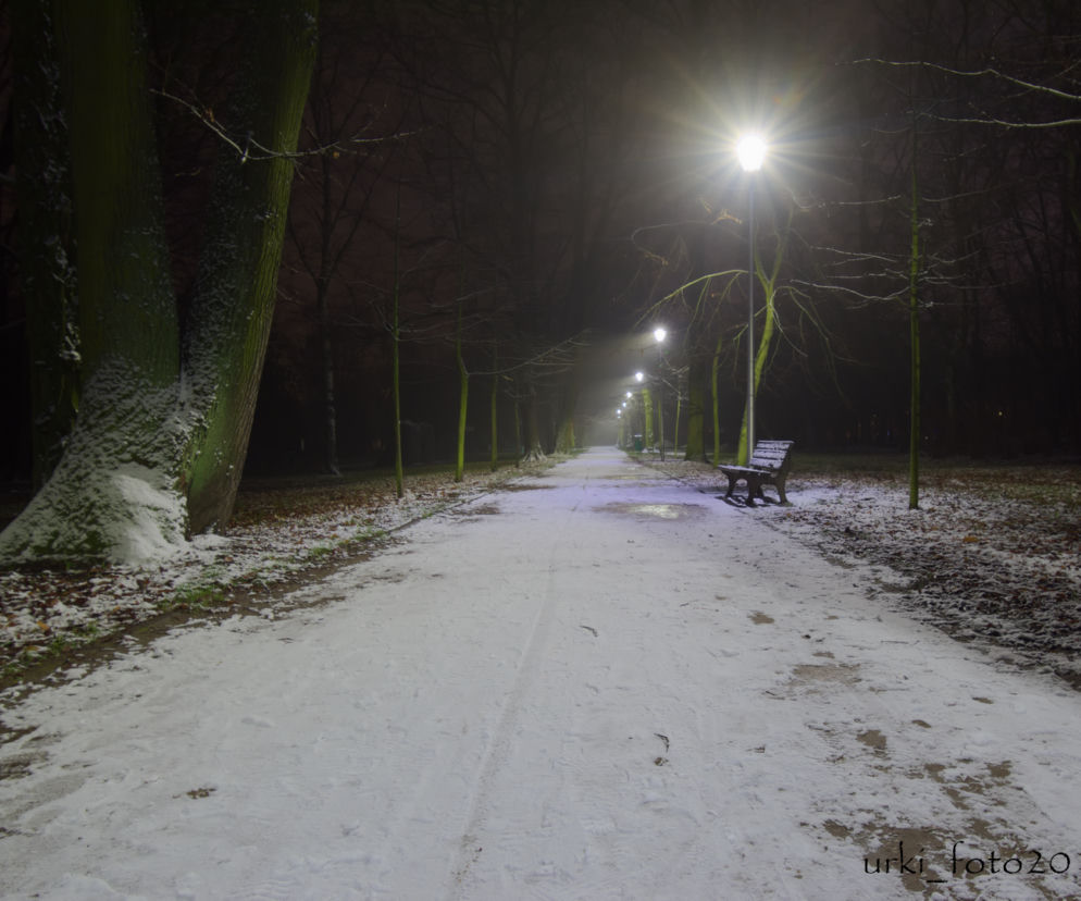 Park Zachodni póki co krótko był przykryty śniegiem