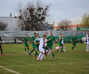 Warta Poznań - GKS Tychy 1:1