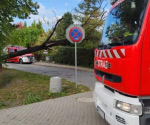 Gwałtowne wichury na Dolnym Śląsku