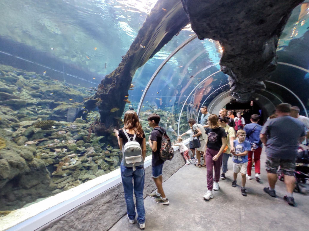 Orientarium w Łodzi