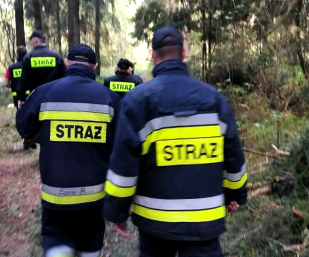 Strażacy przez trzy godziny szukali uciekinierki