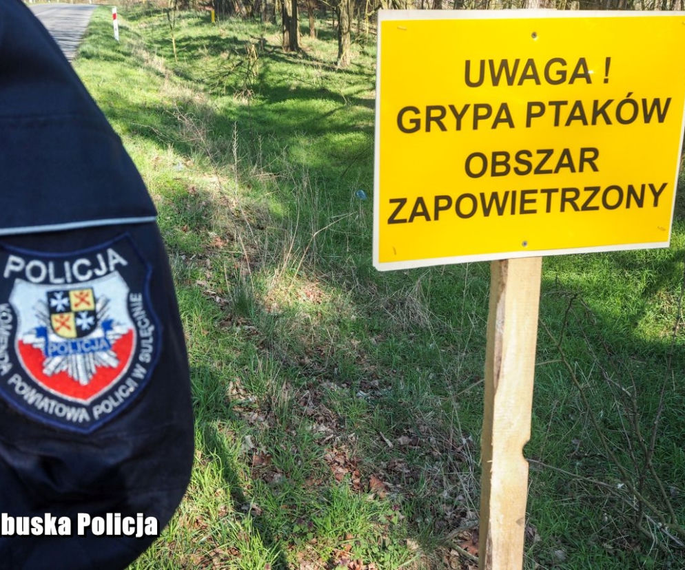 Gorzów ptasia grypa 