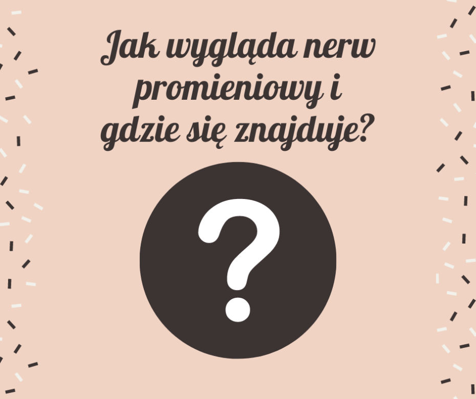 Nerw promieniowy jest najgrubszym nerwem splotu ramiennego