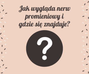 Nerw promieniowy