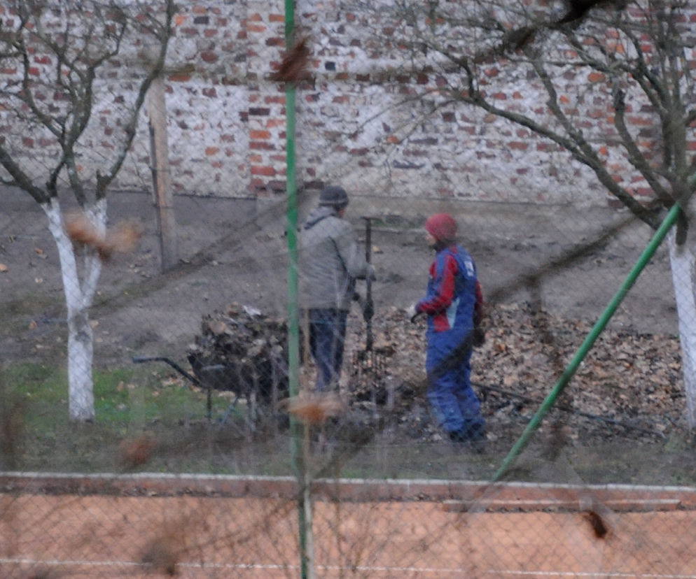 Posprzątali Sikorskiemu wieś