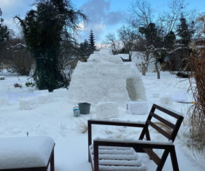 We Wrocławiu powstał domek igloo. Przypomina uroczego kota!