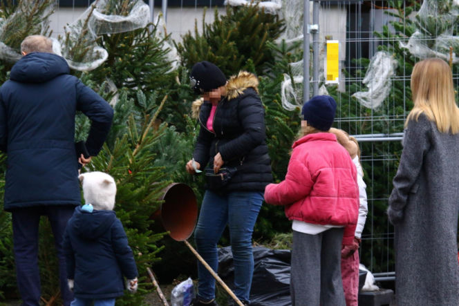 Donald Tusk z zięciem dźwigają gigantyczną choinkę. A za nimi drepcze Kasia z drugą. Wnusie premiera jak księżniczki