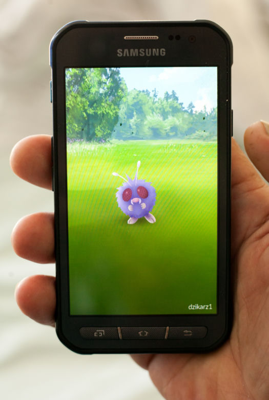 Pobili mnie kiedy łapałem Pokemony