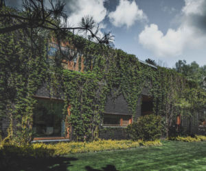 Jungle House - dom wśród drzew