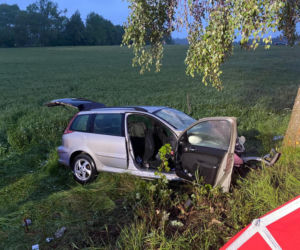 Szczepkowo. Tragiczna śmierć 16-latki. Kierowca peugeota jechał za szybko