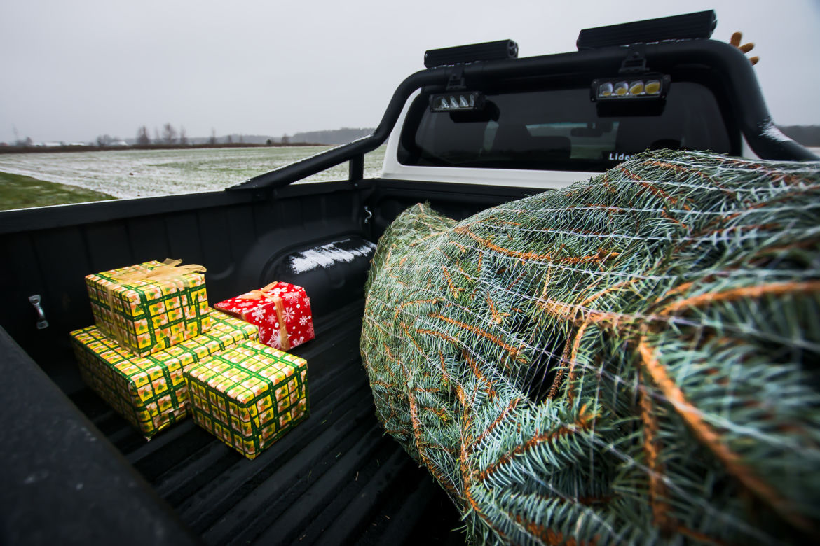 Toyota Hilux Selection 2.4 D-4D 4x4 - pomocnik Świętego Mikołaja
