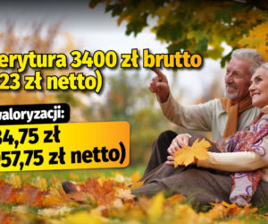 Polski Ład/waloryzacja 4,89