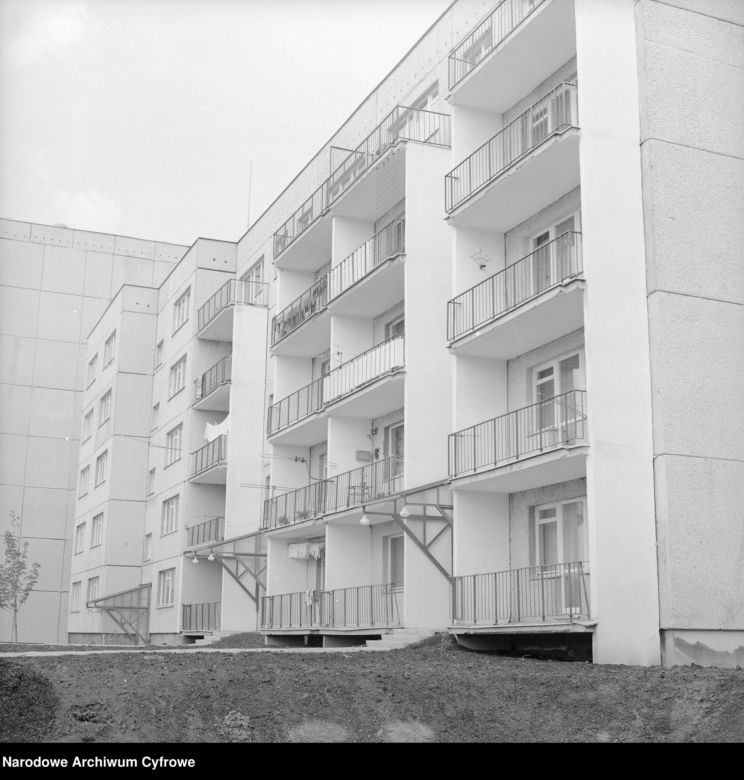 ul. Puszczyka
