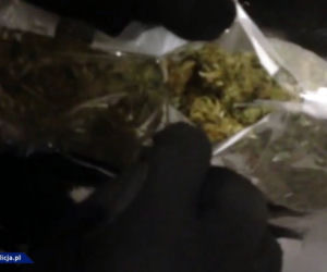 Marihuana w mandarynkach