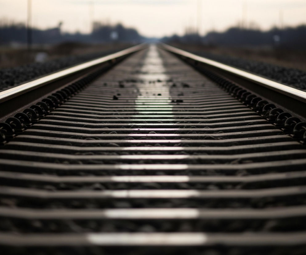 Tor kolejowy rozciąga się w głąb obrazu, ukazując długą perspektywę prostych, równoległych szyn z jasno odbijającą się na nich światłem, wspartych na ciemnych, poprzecznych podkładach. Szyny leżą na warstwie ciemnego żwiru, a po bokach widać rozmazane, ciemne sylwetki drzew i horyzont rozjaśniony światłem nieba. Ograniczone rozmycie ostrości skupia uwagę na centralnej części torów.