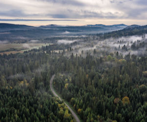 Opuszczone wioski w Bieszczadach