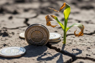 Rekordowe dopłaty a tysiące złotych strat
