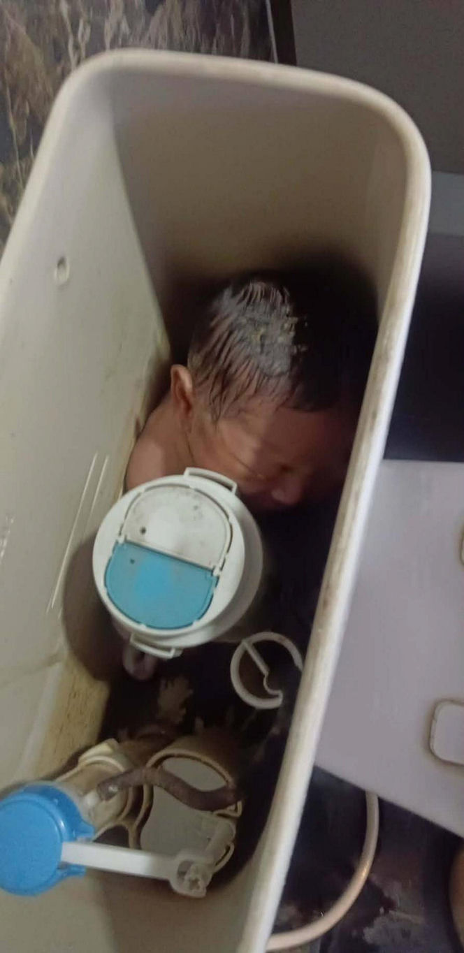 Sprzątała toalety, nagle usłyszała płacz. W spłuczce był upchnięty noworodek! Nie miał odciętej pępowiny