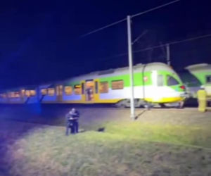 Na trasie Siedlce – Warszawa w rejonie Gręzowa pociąg zderzył się z sarną. Ewakuowano ok. stu osób