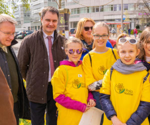 Łąka żonkili na Bielanach!