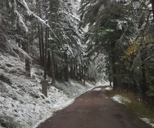 Na Dolnym Śląsku spadł pierwszy śnieg! Zobacz zdjęcia [GALERIA]