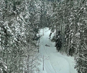 Kolejny atak zimy w Polsce na początku 2026 r. Intensywne opady śniegu na Warmii i Mazurach [ZDJĘCIA]