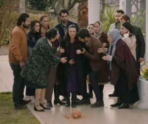 Wichrowe wzgórze, odcinki 374, 375